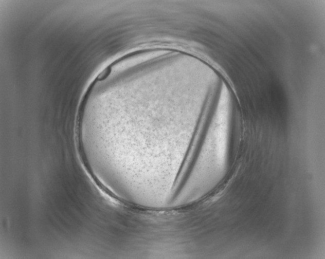 X0000052981533200508051028