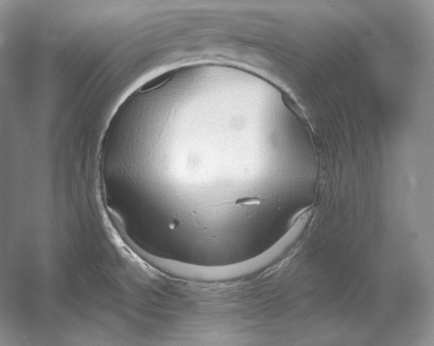 X0000052981534200508051028