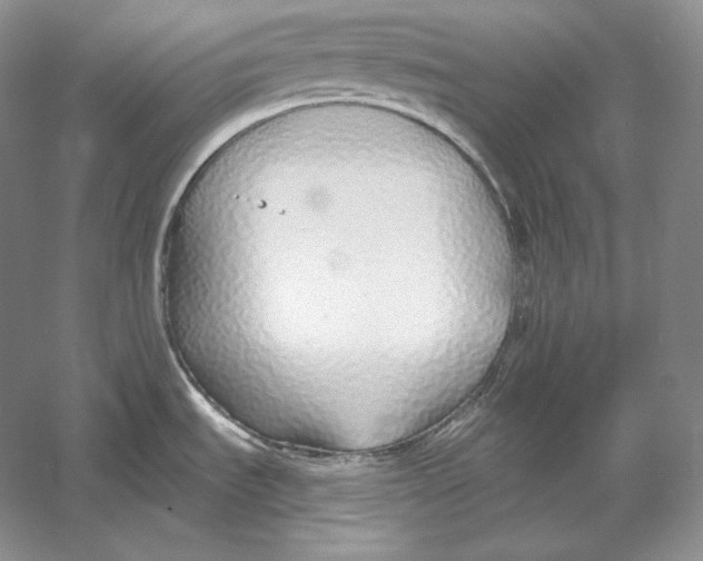 X0000052981535200508051028