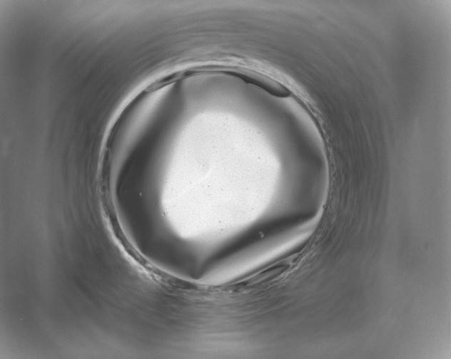 X0000052981536200508051028