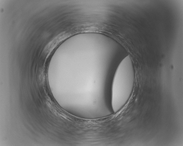 X0000052990290200507080928