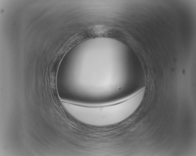 X0000052990421200507080926