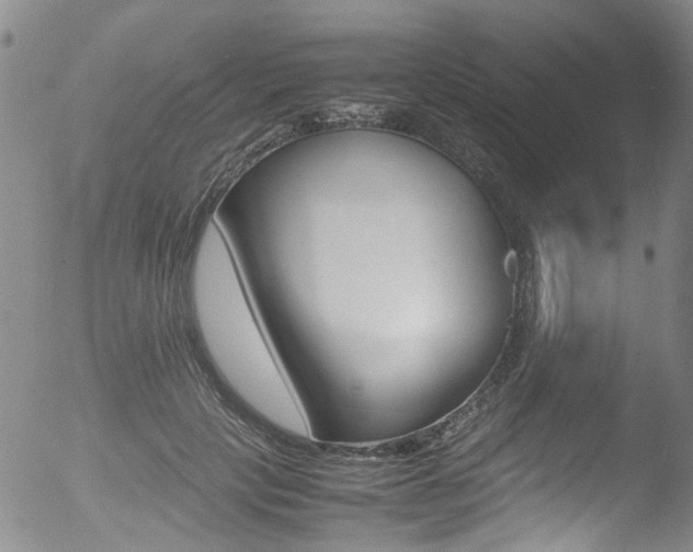 X0000052990649200507080922