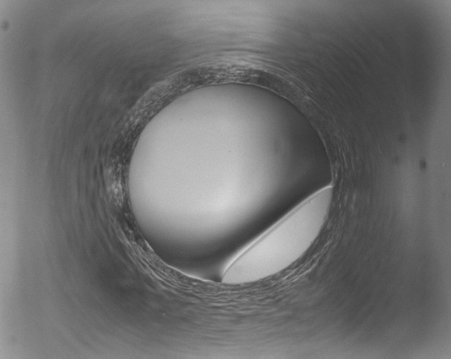 X0000052990771200507080920