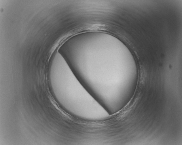 X0000052990986200507080917