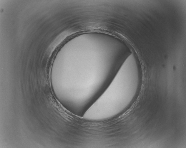 X0000052991023200507080916