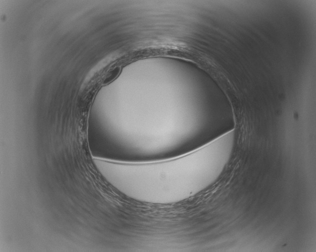 X0000052991064200507080916