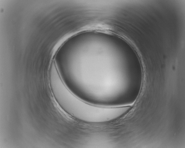 X0000052991344200507080912