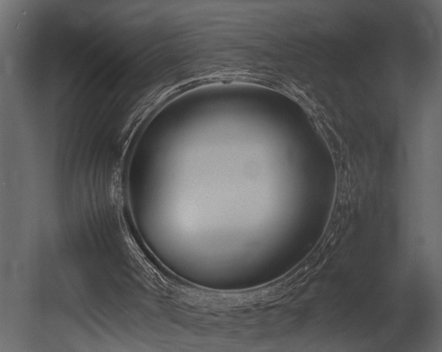 X0000052990002200507081201