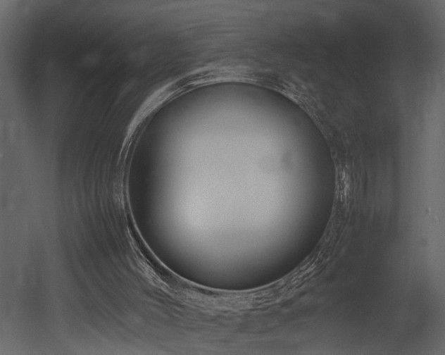X0000052990004200507081201