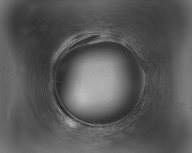 X0000052990005200507081201