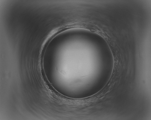 X0000052990006200507081201