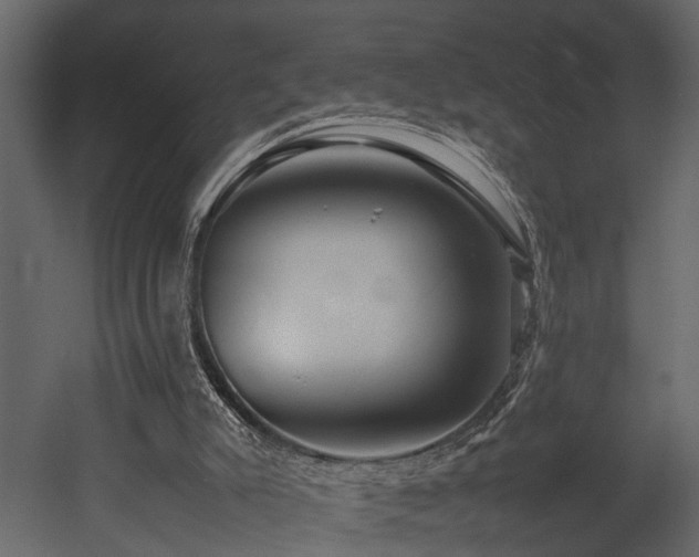 X0000052990007200507081201