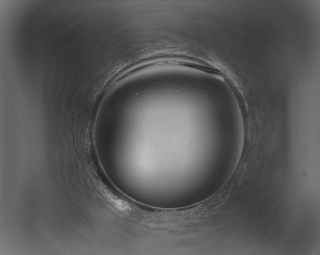 X0000052990009200507081201