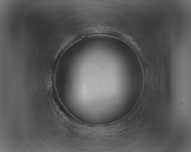 X0000052990010200507081201
