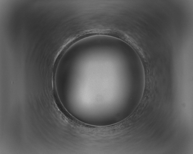 X0000052990011200507081201