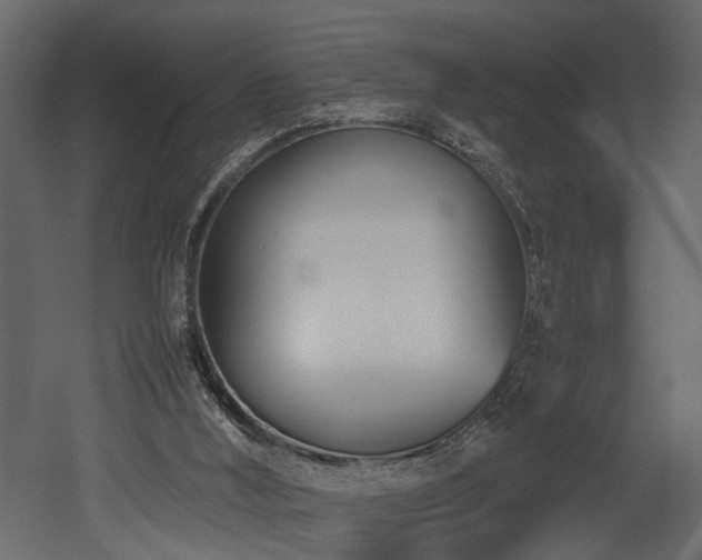X0000052990012200507081201