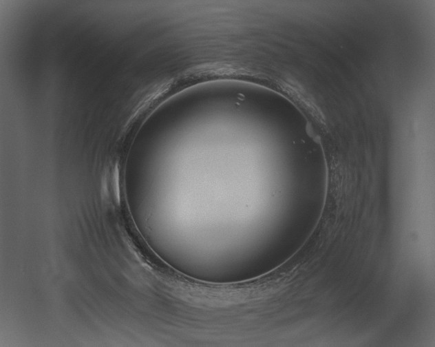 X0000052990014200507081201