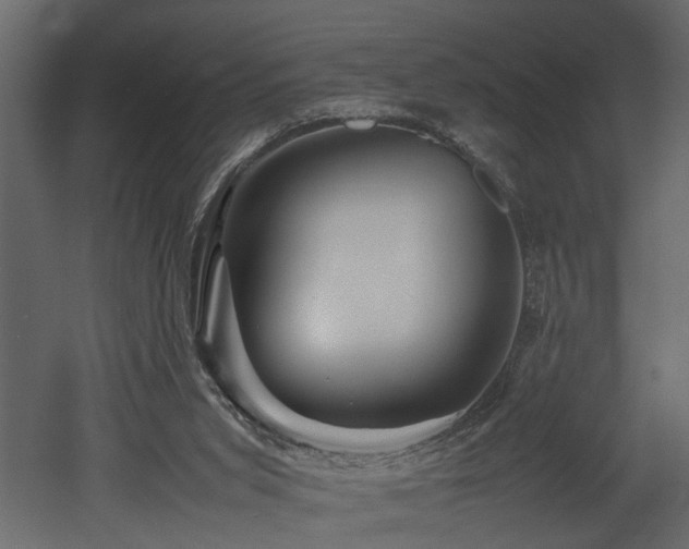 X0000052990015200507081201