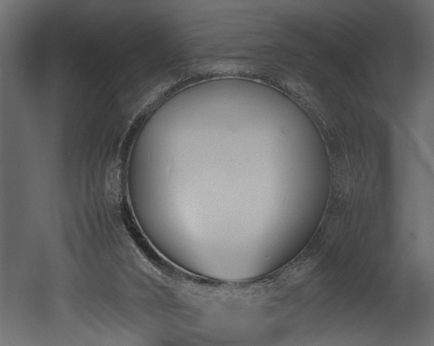 X0000052990016200507081201