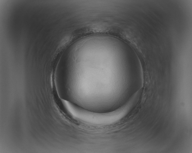 X0000052990019200507081201