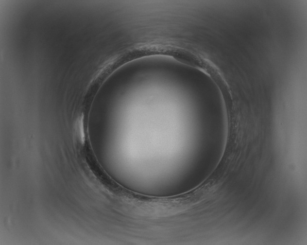 X0000052990020200507081201