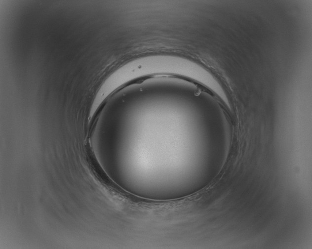 X0000052990021200507081201