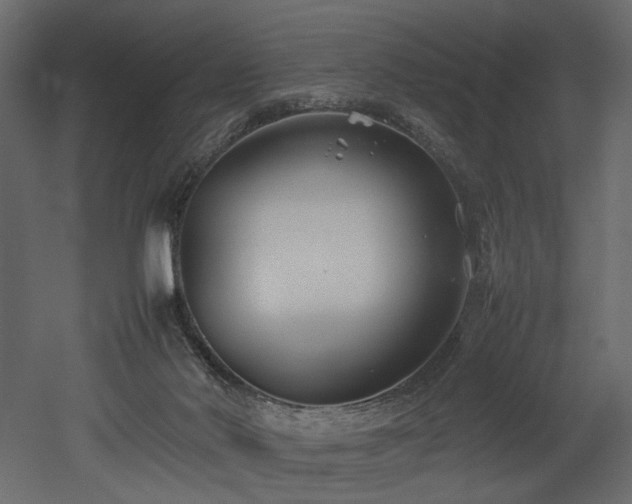 X0000052990022200507081201