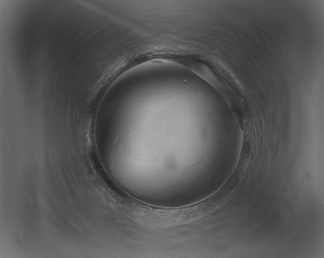 X0000052990023200507081201