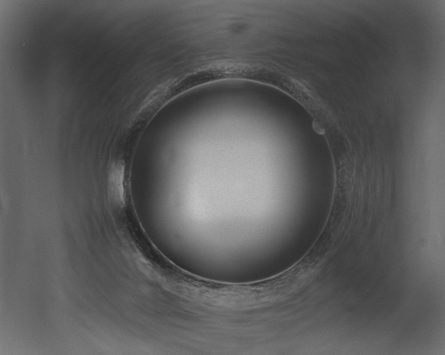 X0000052990024200507081201