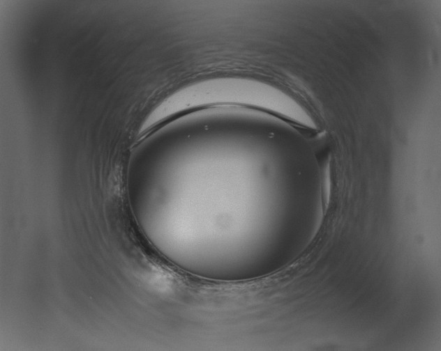 X0000052990025200507081201
