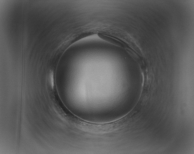 X0000052990027200507081201