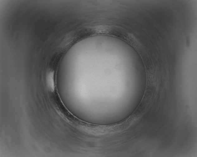 X0000052990028200507081201