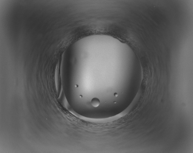 X0000052990029200507081201