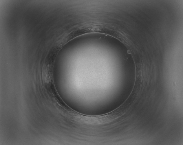 X0000052990030200507081201