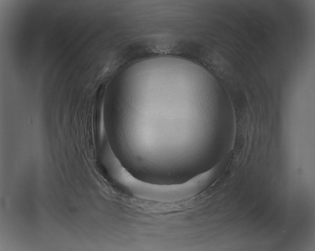 X0000052990031200507081201