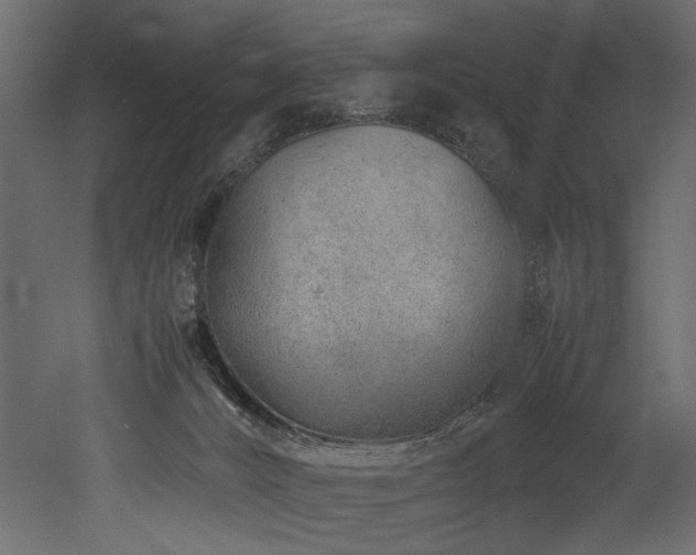 X0000052990032200507081201