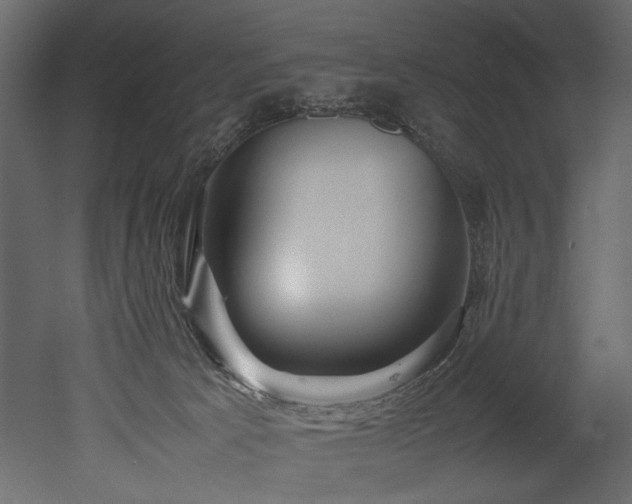 X0000052990033200507081201
