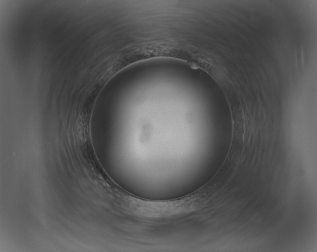 X0000052990034200507081201