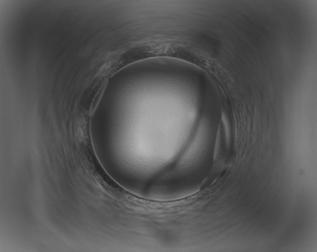X0000052990035200507081201