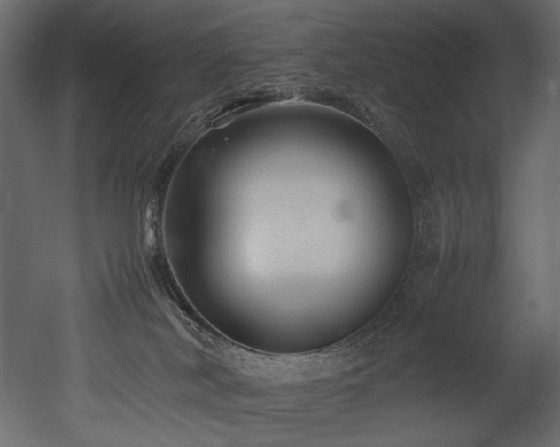 X0000052990038200507081201