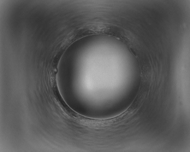 X0000052990040200507081201