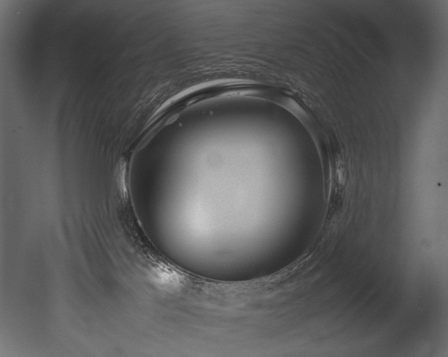 X0000052990041200507081201