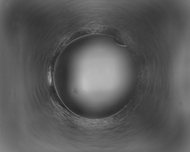 X0000052990042200507081201