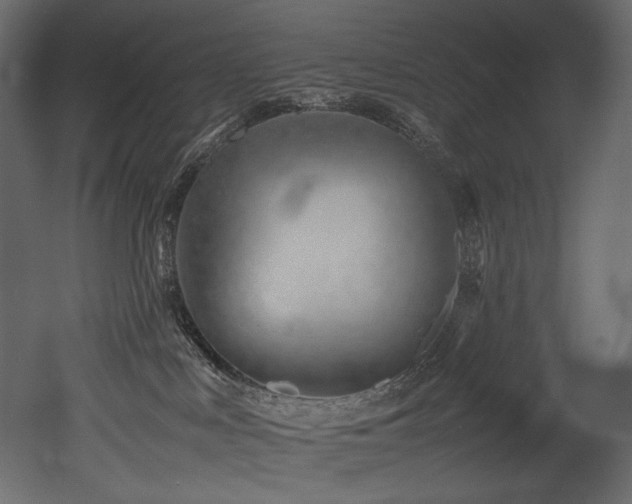 X0000052990043200507081201