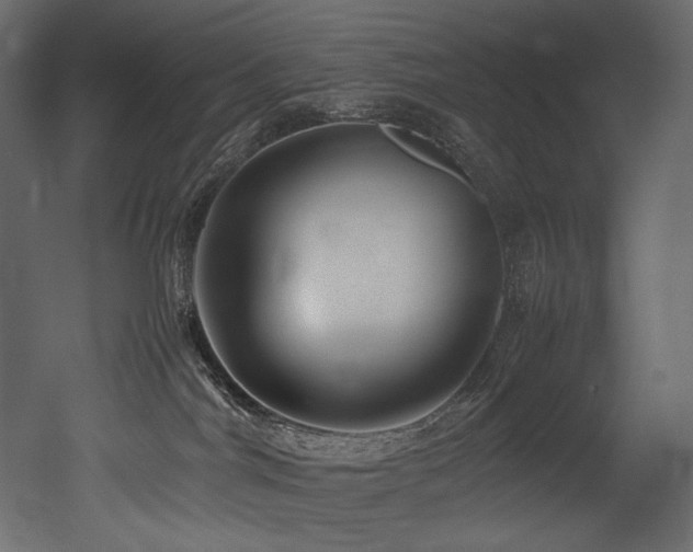 X0000052990044200507081201