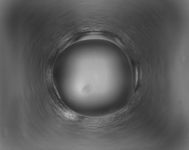 X0000052990045200507081200