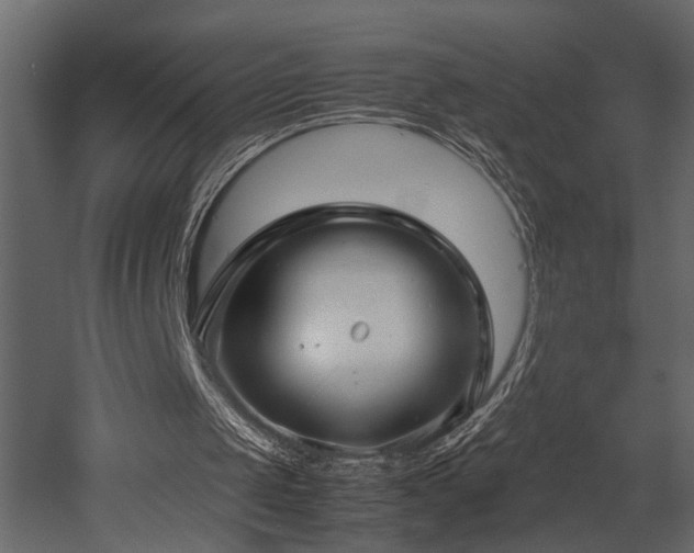 X0000052990049200507081200