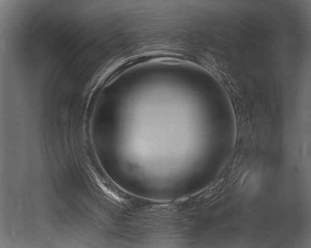 X0000052990050200507081200