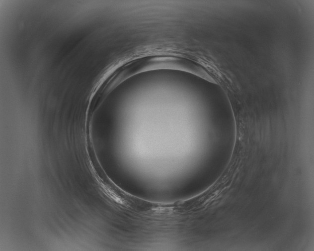 X0000052990052200507081200
